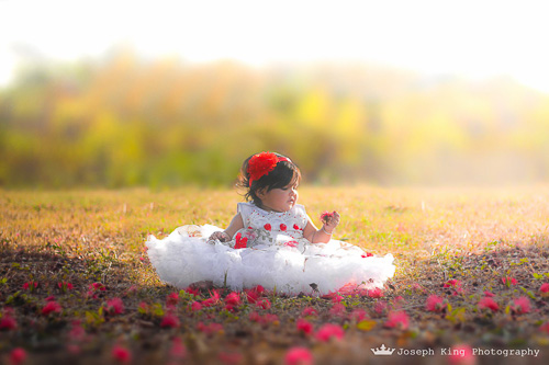 8 Tips To Make Your Baby Photography in Indore Easier And More Fun